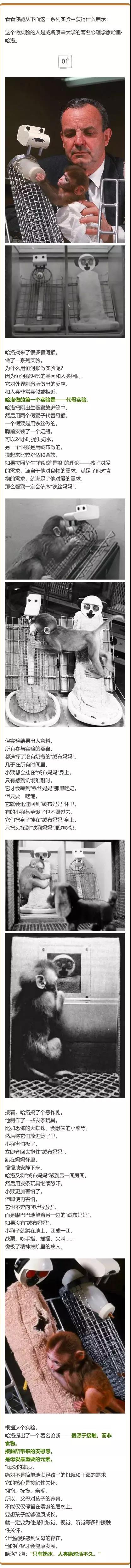 微信圖片_20190626141605.jpg