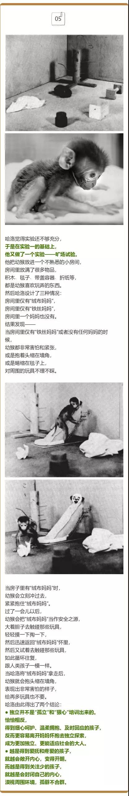 微信圖片_20190626141726.jpg