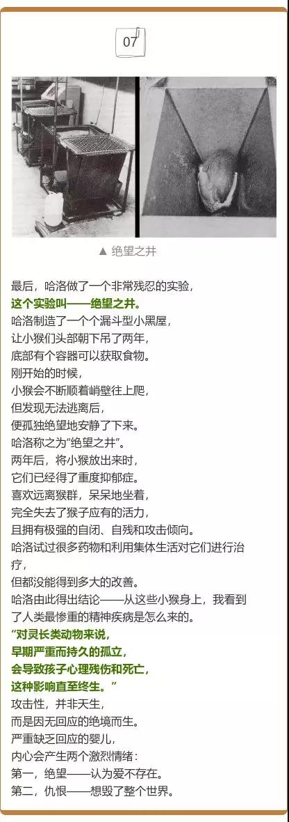 微信圖片_20190626141758.jpg