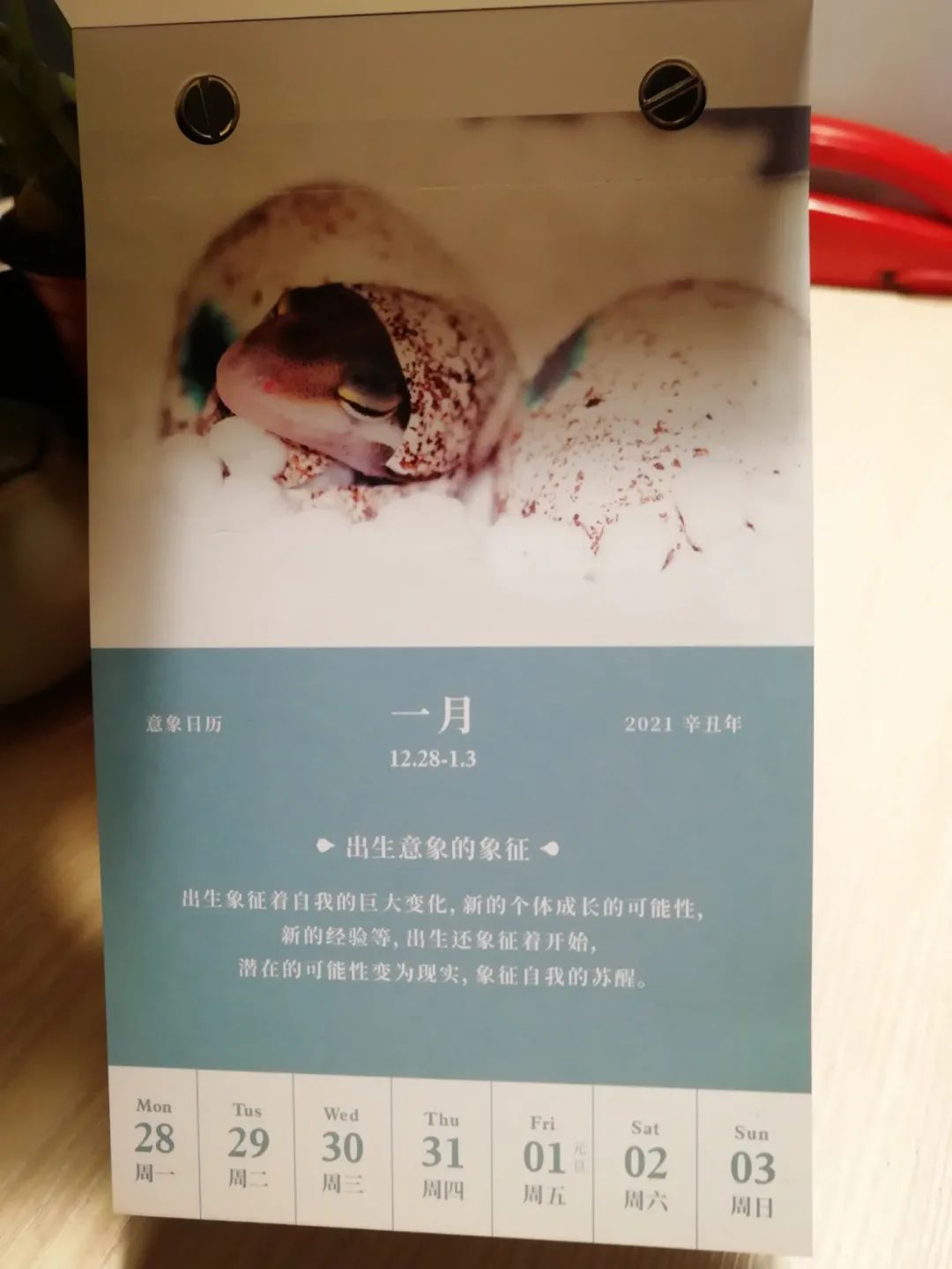微信圖片_20210115181127.jpg